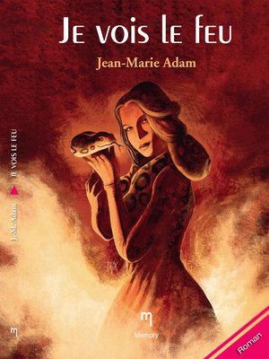 cover image of Je vois le feu